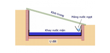 Lọc nước nhiễm mặn hiệu quả với 3 cách đơn giản