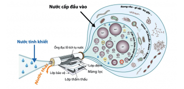 Tìm Hiểu Nguyên Lý Hoạt Động Của Màng Lọc RO